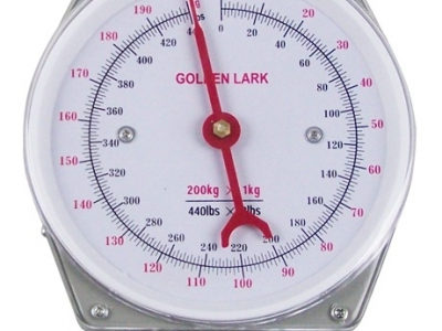 Viseča vzmetna tehtnica 250 kg